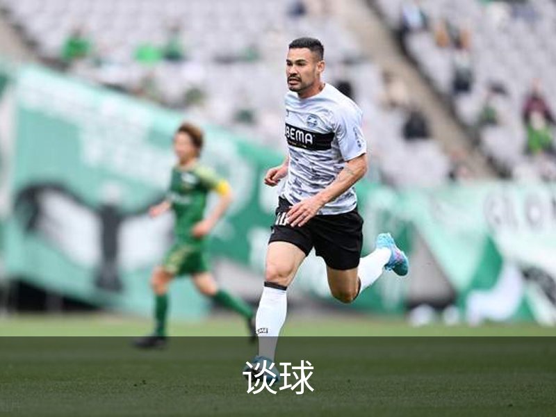 了解谈球